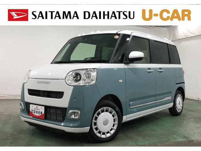 ムーヴキャンバス  ストライプス G