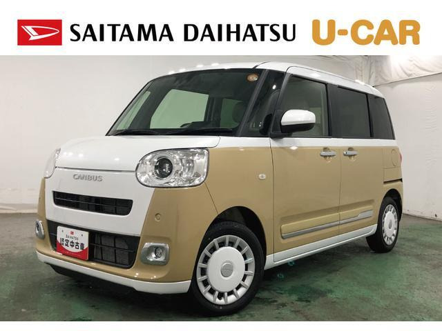 ムーヴキャンバス  ストライプス G