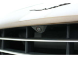 Front Grille - Satin Chrome