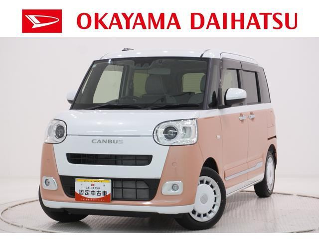 ムーヴキャンバス  ストライプス G