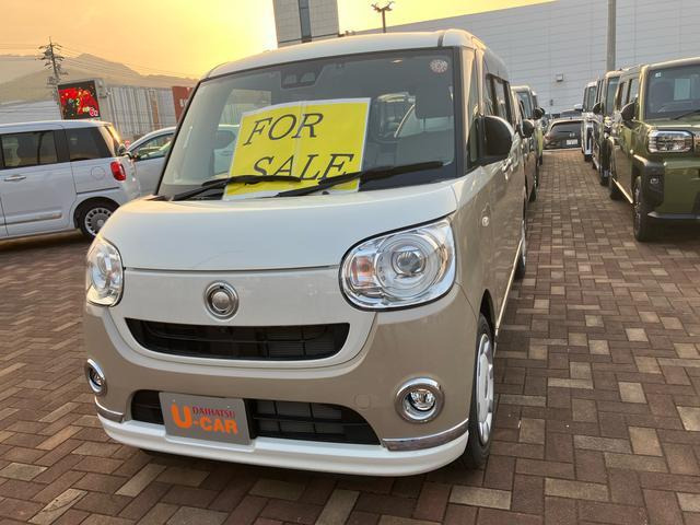 ムーヴキャンバス G メイクアップ リミテッド SAIII 