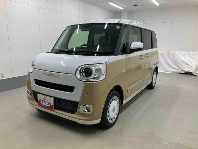 ムーヴキャンバス  ストライプス G