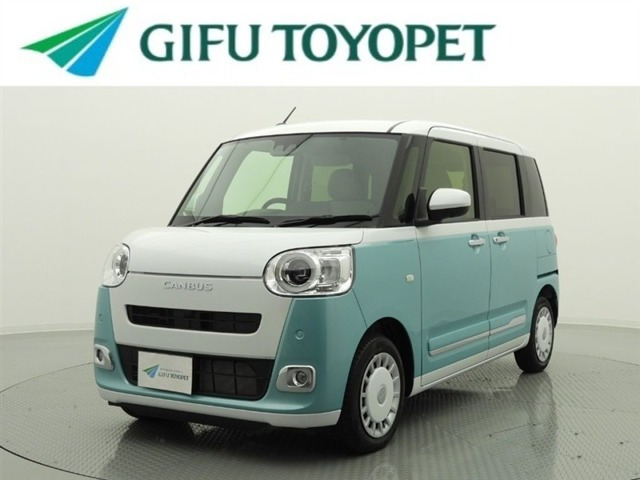 ムーヴキャンバス  ストライプス G