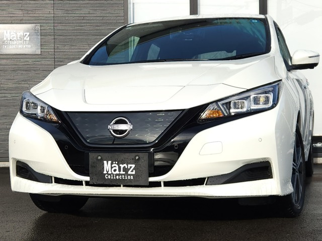 リーフ  X Vセレクション