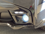 LEDフォグランプも装備!