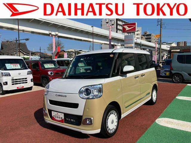 ムーヴキャンバス  ストライプス G