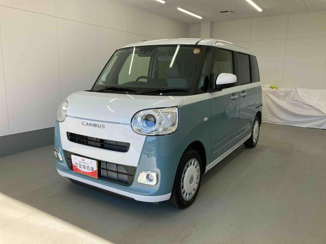 ムーヴキャンバス  ストライプス G