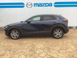 CX-30 2.0 20S プロアクティブ 