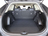 5人乗車時でも十分なスペースのトランクルームです。