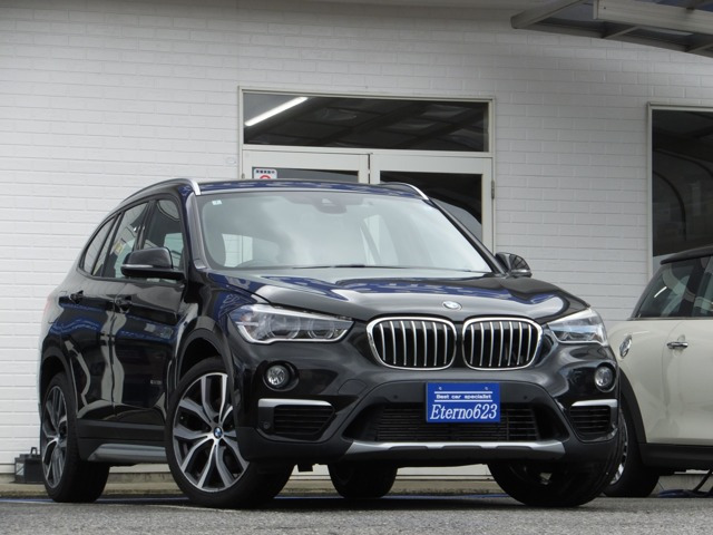 X1 xドライブ 20i xライン 4WD 
