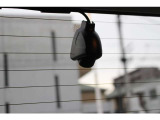 事故だけではなく煽り運転や犯罪の記録にも役立つリヤドライブレコーダーも装備で安心です
