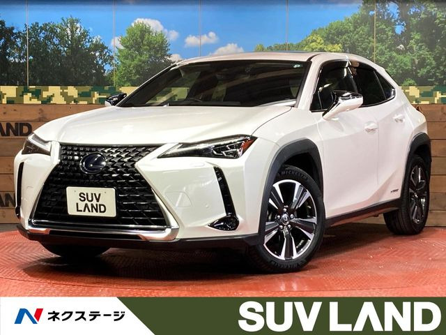 UX250h バージョンL