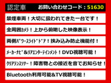 エルグランド 2.5 250ハイウェイスター メーカーナビ リアエンタメ 両自