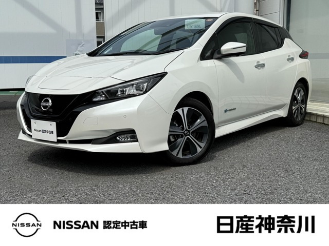 リーフ  X Vセレクション