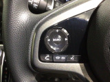 ステアリングにオーディオ操作スイッチが付いています。オーディオ画面に直接タッチしなくても操作が出来ますので、運転に集中できます。