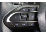 ステアリングスイッチでハンズフリー電話や音声認識、オーディオ操作やマルチインフォメーションディスプレイ内の表示切替えなどが出来ます。走行中に視線を逸らさず出来る手元操作は安全運転につながります。