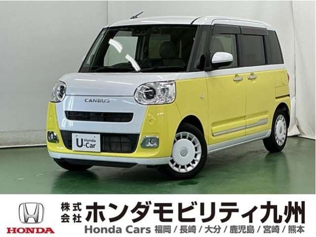 ムーヴキャンバス  ストライプス G