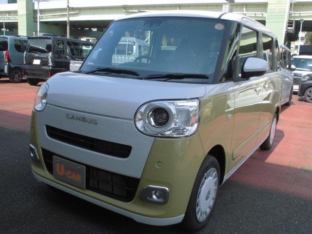 ムーヴキャンバス  ストライプス G