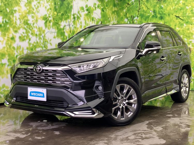 RAV4 2.0 G Zパッケージ 4WD