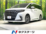 禁煙車 ガラスルーフ モデリスタフルエアロ 両側電動ドア 全周囲カメラ