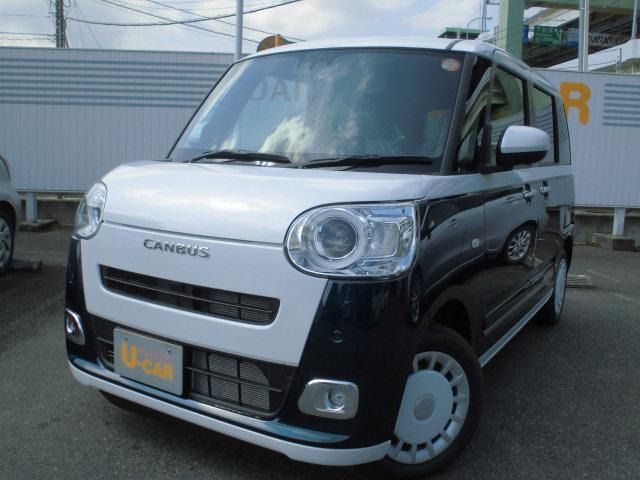 ムーヴキャンバス  ストライプス G