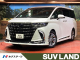 モデリスタエアロ ユニバーサルステップ 純正14型ナビ 純正後席モニター