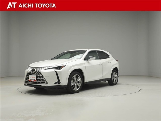 UX 250h グレイスフル エクスプローラー 