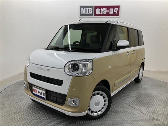 ムーヴキャンバス  ストライプス G