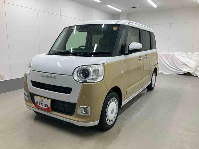 ムーヴキャンバス  ストライプス G