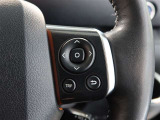 ステアリングスイッチ付き。前方から目を離すことなく操作することが可能です。