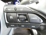 クルーズコントロール機能搭載です。長い高速走行、アクセルを踏まないで走行できれば運転も楽ですよね。