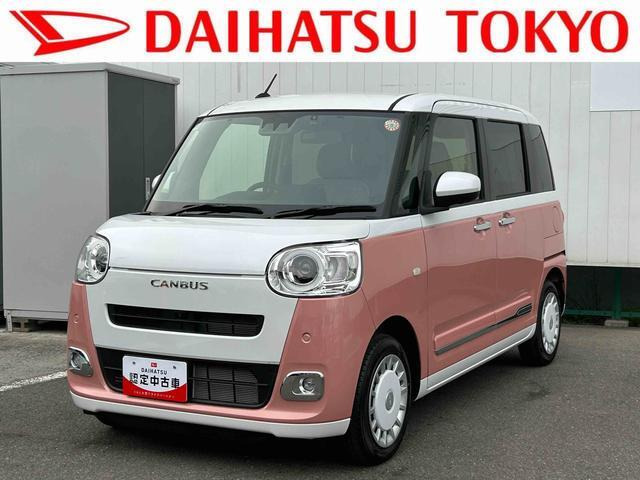 ムーヴキャンバス  ストライプス G