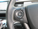 ハンドルにオーディオの操作スイッチが装備されています!視線を前方から外さずハンドルから手を離さずに操作できるのでとっても安全ですね♪