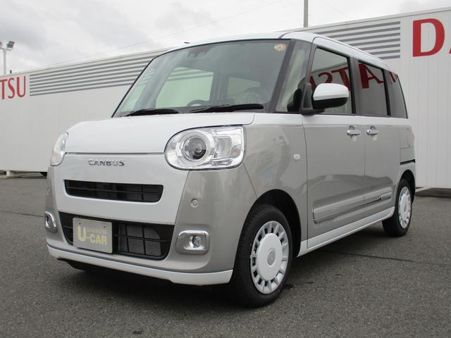 ムーヴキャンバス  ストライプス G