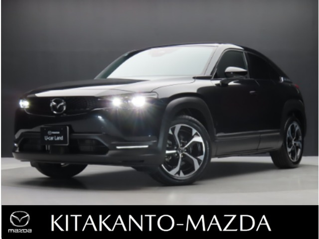 MX-30 2.0 ナチュラル モノトーン 