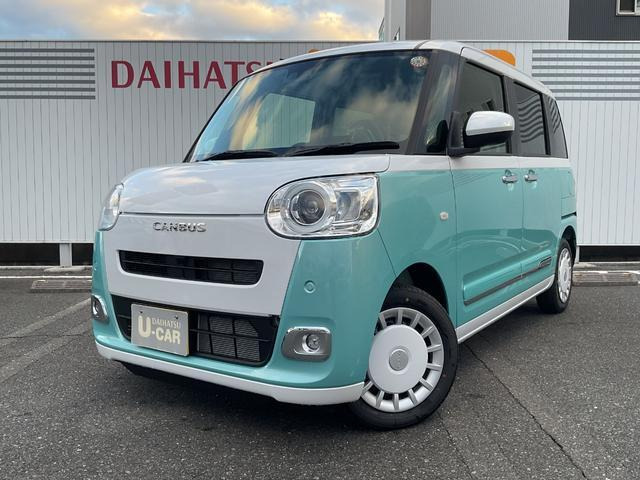 ムーヴキャンバス  ストライプス G