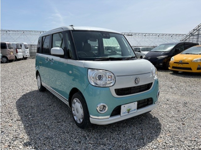 ムーヴキャンバス G メイクアップ リミテッド SAIII 