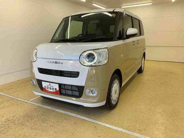 ムーヴキャンバス  ストライプス G