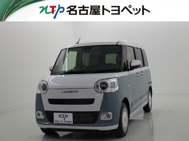 ムーヴキャンバス  ストライプス G