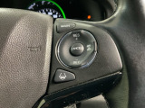 クルーズコントロールを装備しています。高速道路などで一定の速度で走ってくれるので運転が楽ですよ!速度を設定できますので、スピードの出しすぎにも注意できます。