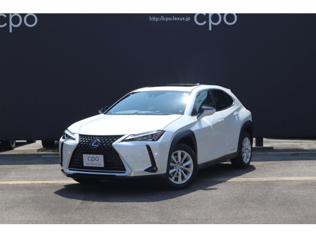 UX 300e バージョンC 