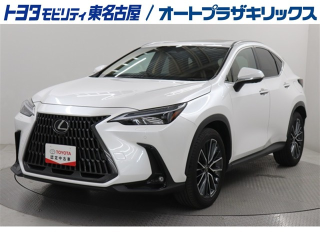 NX 250 バージョンL NX 250 バージョンL