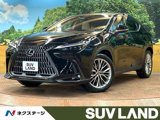 NX 350h バージョンL （6AA-AAZH20）