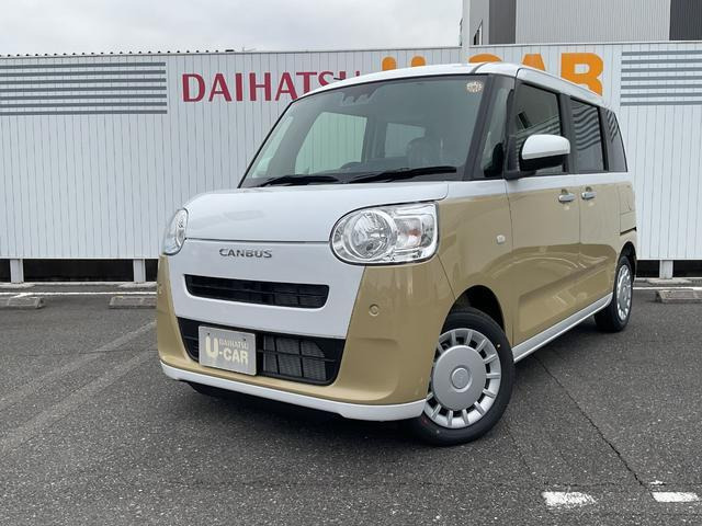 ムーヴキャンバス  ストライプス X