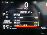 ■運転支援システム(駐車支援(ソナー)、ふらつき警報、走行時間、凍結注意、e-Pedalモード記憶)
