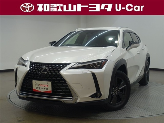 UX 250h バージョンC