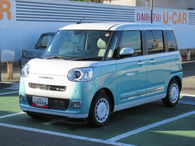 ムーヴキャンバス  ストライプス G