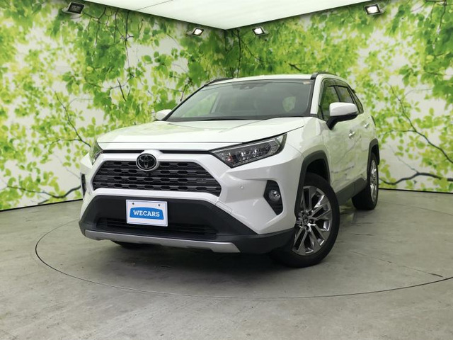 RAV4 2.0 G Zパッケージ 4WD 