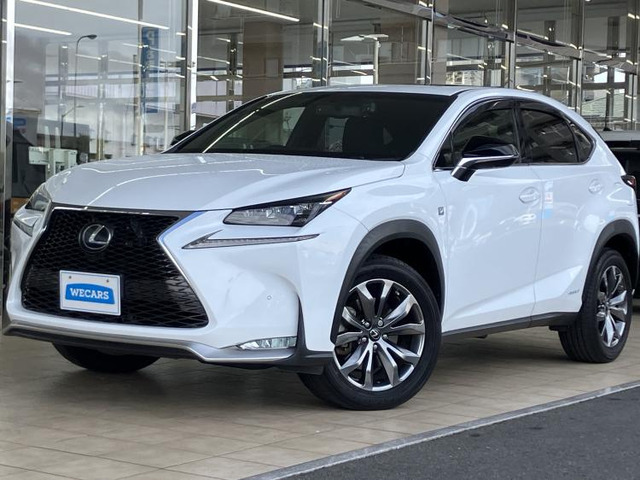 NX 300h Fスポーツ 
