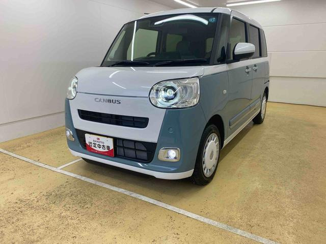 ムーヴキャンバス  ストライプス G